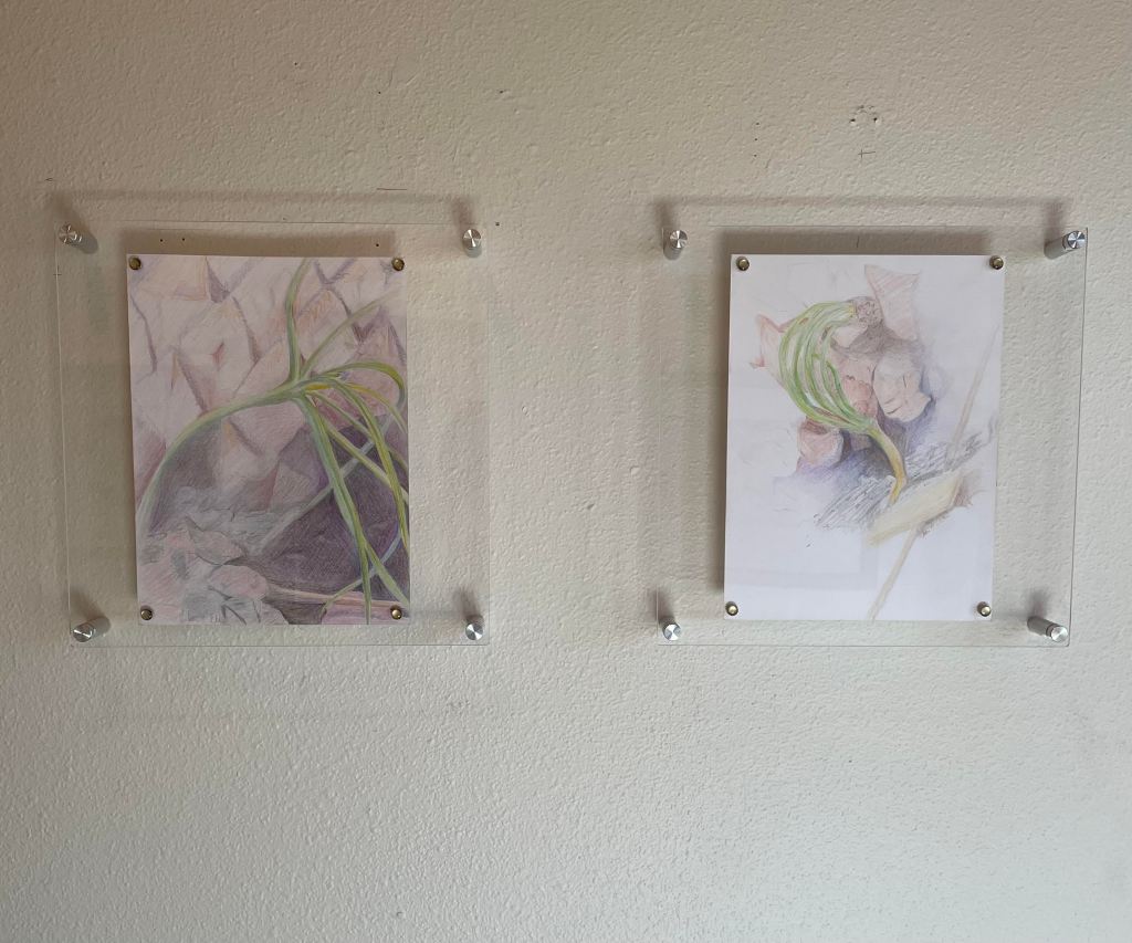 2 colored pencil drawings, 2021